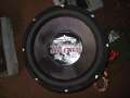 Andre neue Woofer 04