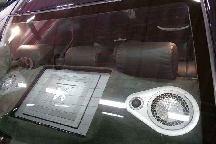 DM AYA EMMA 2025 00217