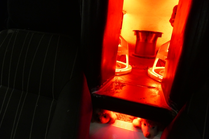 DM AYA EMMA 2025 00227