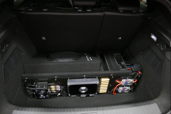 DM AYA EMMA 2025 00255