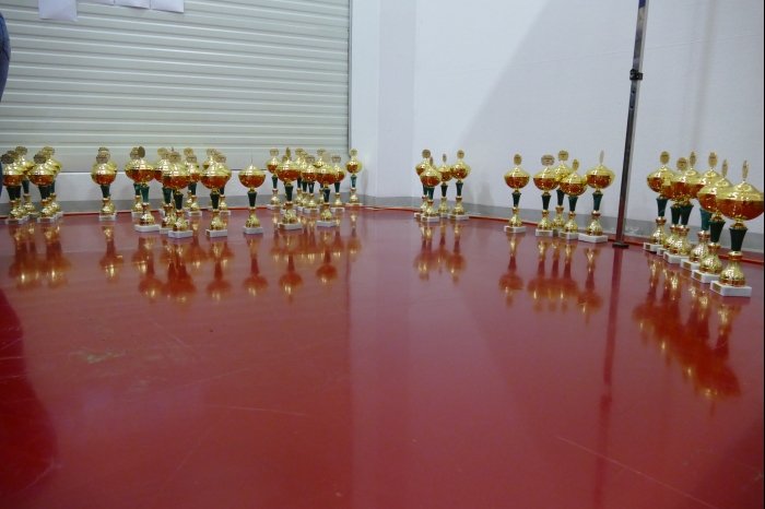 DM AYA EMMA 2025 00305