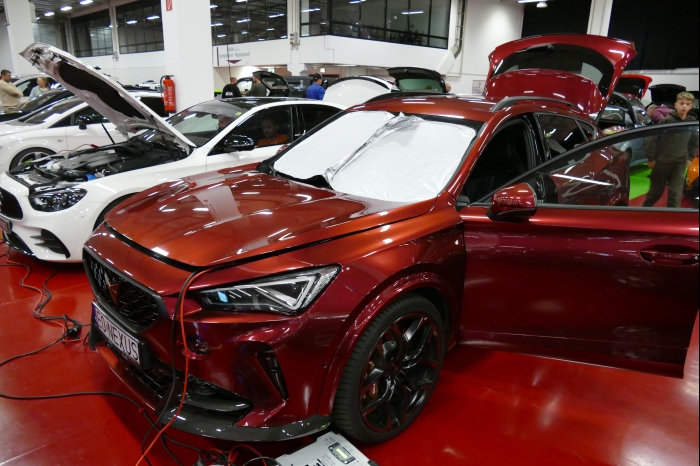 DM AYA EMMA 2025 00309