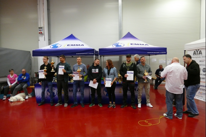 DM AYA EMMA 2025 00343