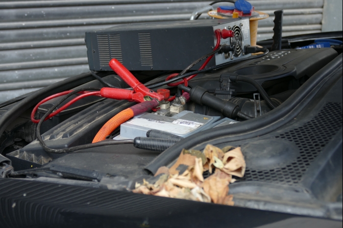 Car Hifi Manufaktur AYA 2025 00119