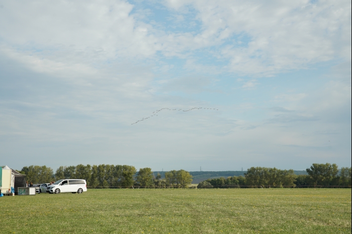 DM EM Continental dB Battle 2025 00009