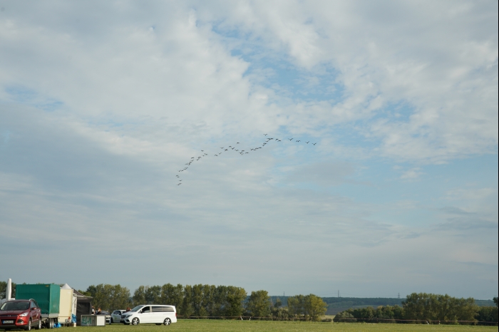 DM EM Continental dB Battle 2025 00010