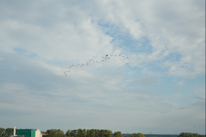 DM EM Continental dB Battle 2025 00011