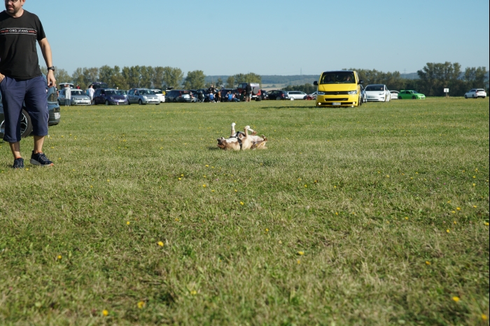 DM EM Continental dB-Battle 2024 00007