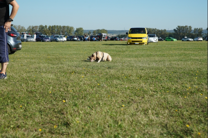 DM EM Continental dB-Battle 2024 00008