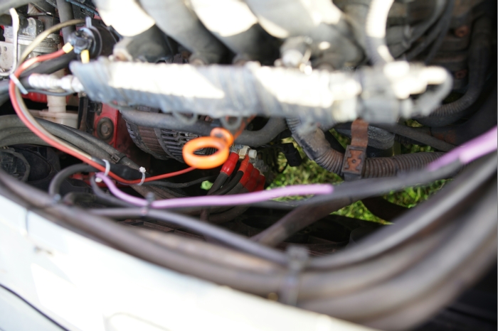 DM EM Continental dB-Battle 2024 00355