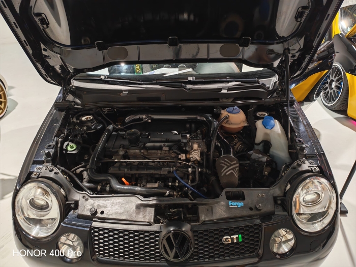 EMMA Finale BeNeLux in Apeldoorn Holland 2025 00074