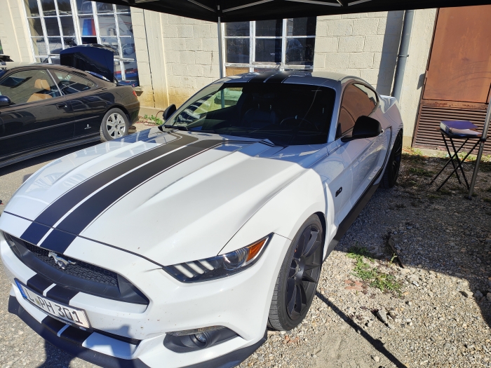 Gladen Mosconi AYA 2024 00015