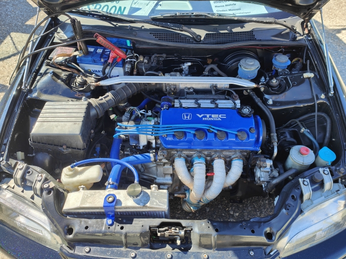 Gladen Mosconi AYA 2024 00025