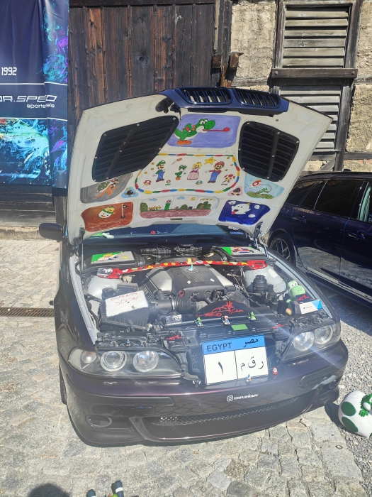 Gladen Mosconi AYA 2024 00035