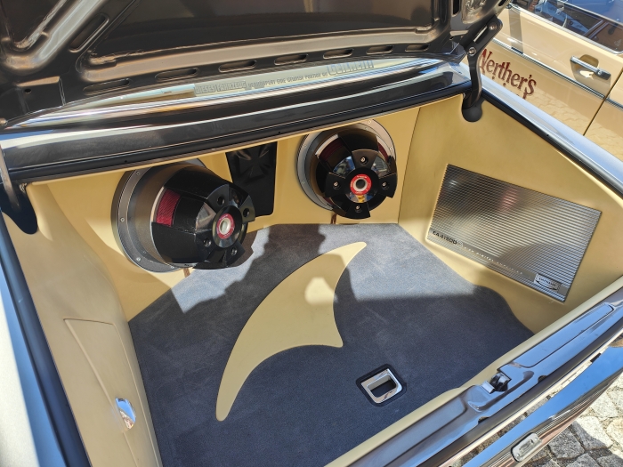 Gladen Mosconi AYA 2024 00060