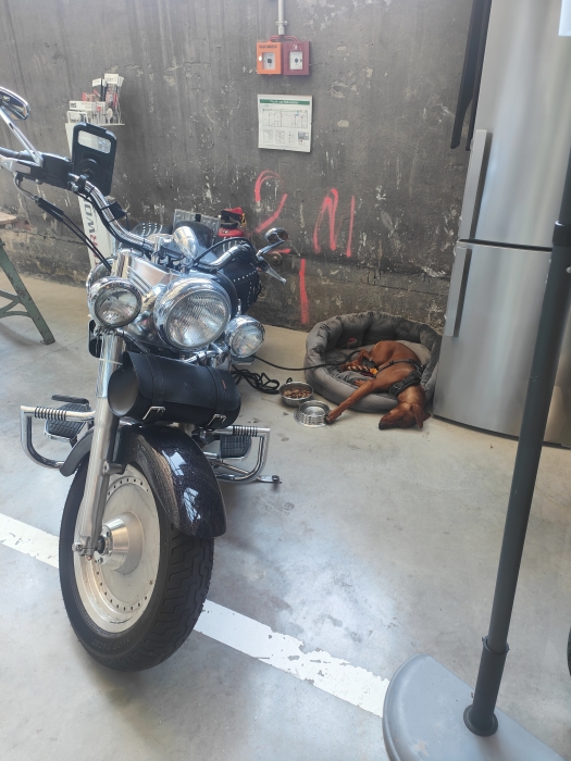 Gladen Mosconi AYA 2024 00081