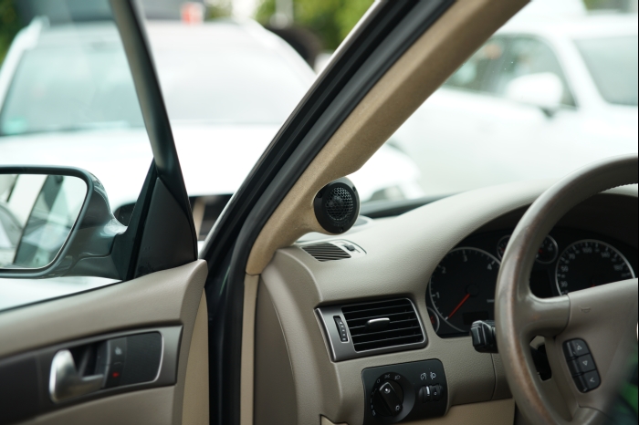 Horsch und Guck 2024 00052