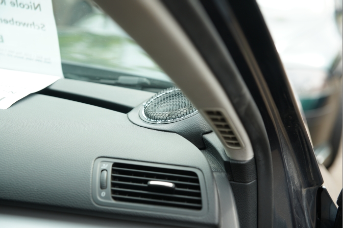 Horsch und Guck 2024 00071