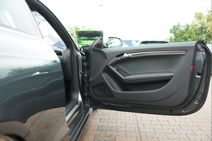 Horsch und Guck 2024 00077