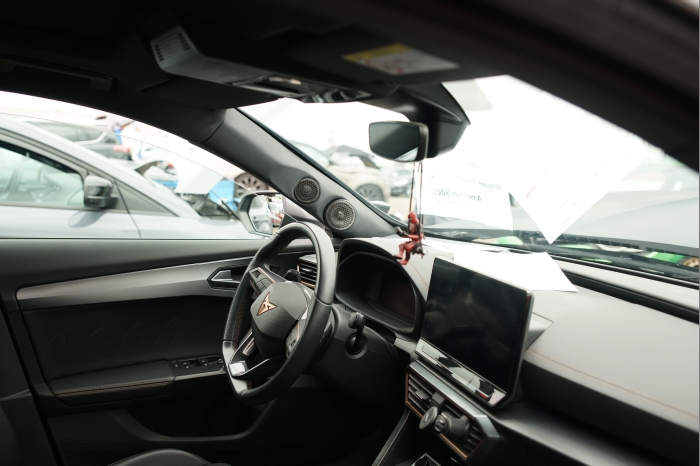 Horsch und Guck 2025 00109