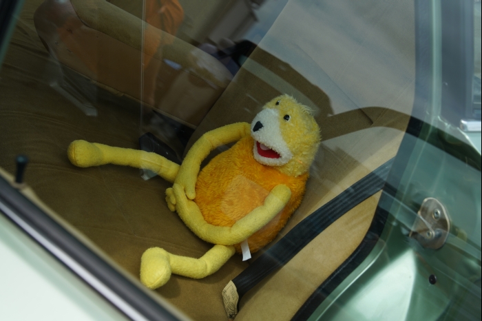 Horsch und Guck 2025 00237