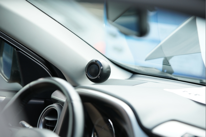 Horsch und Guck 2025 00253