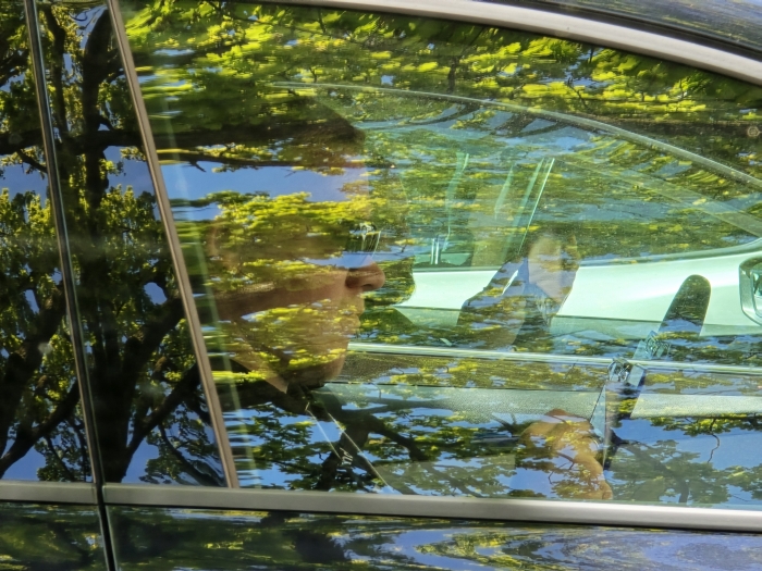 Sued Thueringen AYA 10.5.25 00097