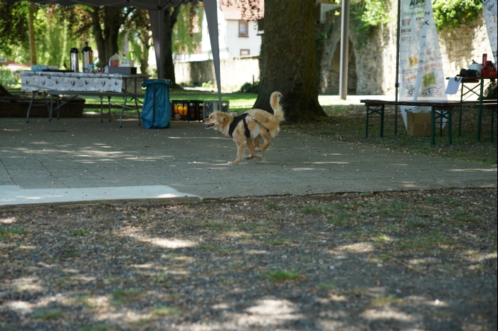 Sued Thueringen AYA 10.5.25 00107