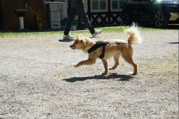 Sued Thueringen AYA 10.5.25 00109