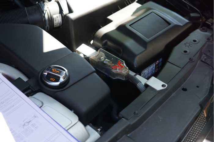 Sued Thueringen AYA 10.5.25 00140