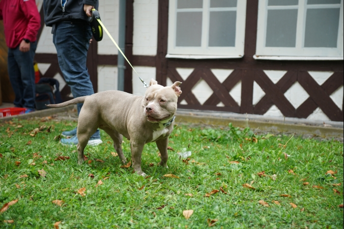 4 Sued Thueringen AYA 2024 00122