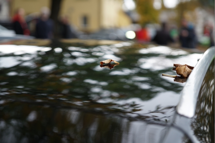 4 Sued Thueringen AYA 2024 00153